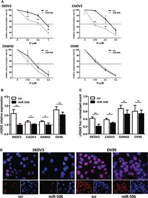 Impairment of RAD17 Functions by miR-506-3p as a Novel Synthetic Lethal Approach Targeting DNA Repair Pathways in Ovarian Cancer